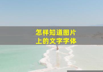 怎样知道图片上的文字字体