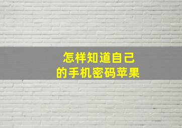 怎样知道自己的手机密码苹果