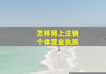 怎样网上注销个体营业执照