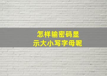 怎样输密码显示大小写字母呢