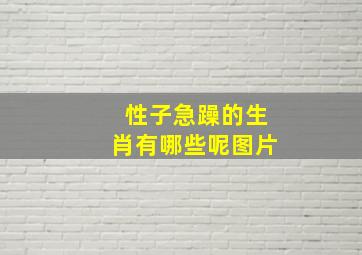 性子急躁的生肖有哪些呢图片