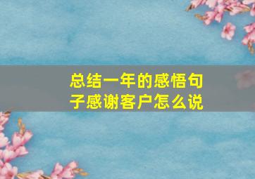 总结一年的感悟句子感谢客户怎么说