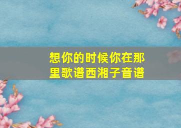 想你的时候你在那里歌谱西湘子音谱