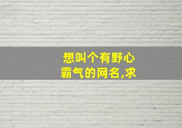 想叫个有野心霸气的网名,求