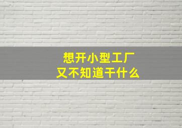 想开小型工厂又不知道干什么