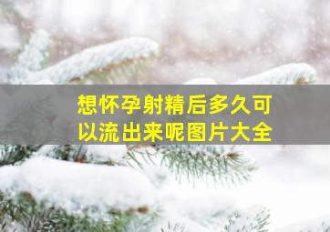 想怀孕射精后多久可以流出来呢图片大全