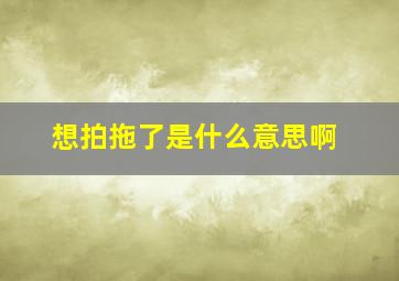 想拍拖了是什么意思啊