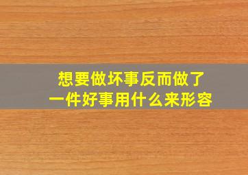 想要做坏事反而做了一件好事用什么来形容