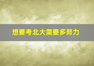 想要考北大需要多努力