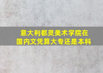 意大利都灵美术学院在国内文凭算大专还是本科