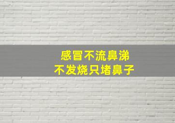 感冒不流鼻涕不发烧只堵鼻子