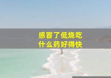 感冒了低烧吃什么药好得快