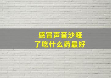 感冒声音沙哑了吃什么药最好