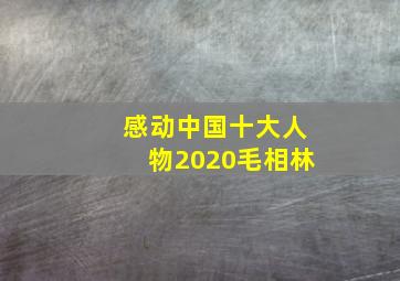 感动中国十大人物2020毛相林