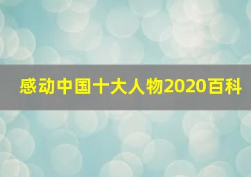 感动中国十大人物2020百科