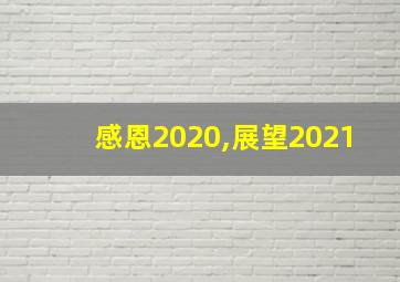 感恩2020,展望2021