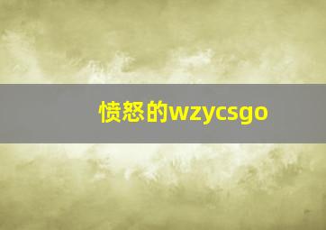 愤怒的wzycsgo