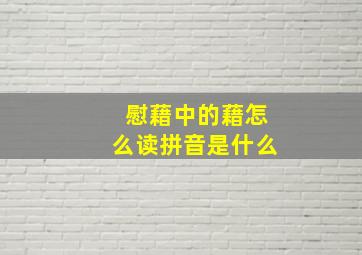 慰藉中的藉怎么读拼音是什么