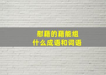 慰藉的藉能组什么成语和词语