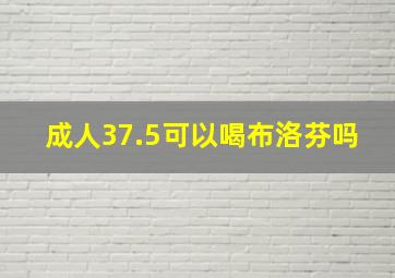 成人37.5可以喝布洛芬吗