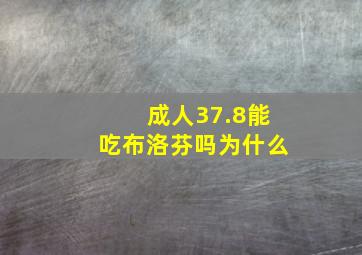 成人37.8能吃布洛芬吗为什么