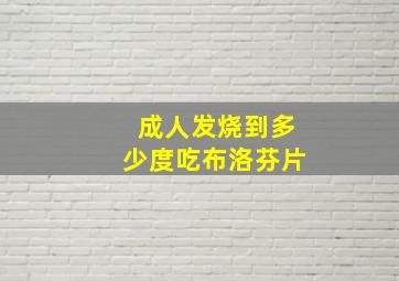 成人发烧到多少度吃布洛芬片