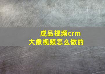 成品视频crm大象视频怎么做的