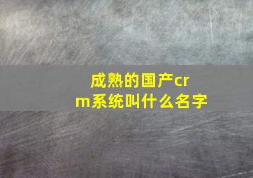 成熟的国产crm系统叫什么名字