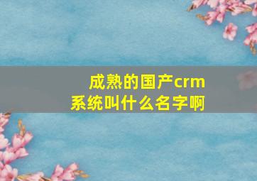 成熟的国产crm系统叫什么名字啊