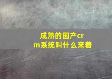 成熟的国产crm系统叫什么来着