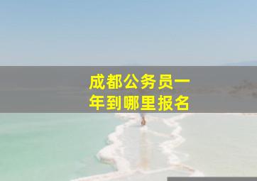 成都公务员一年到哪里报名