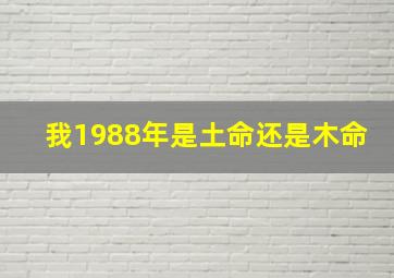 我1988年是土命还是木命