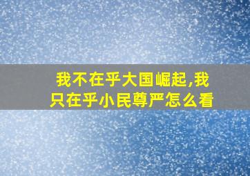 我不在乎大国崛起,我只在乎小民尊严怎么看