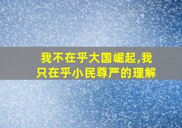 我不在乎大国崛起,我只在乎小民尊严的理解