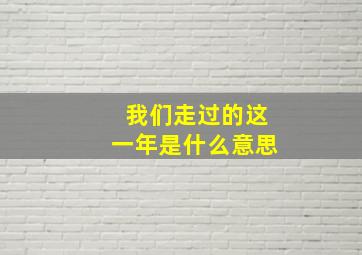 我们走过的这一年是什么意思