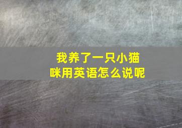 我养了一只小猫咪用英语怎么说呢