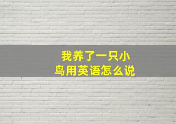 我养了一只小鸟用英语怎么说