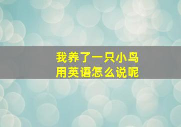 我养了一只小鸟用英语怎么说呢