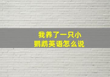 我养了一只小鹦鹉英语怎么说