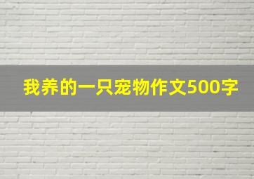 我养的一只宠物作文500字