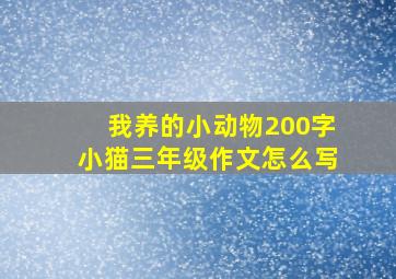 我养的小动物200字小猫三年级作文怎么写