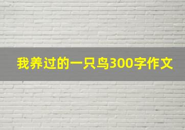 我养过的一只鸟300字作文