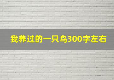 我养过的一只鸟300字左右