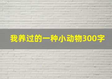 我养过的一种小动物300字