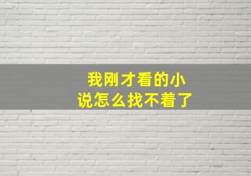 我刚才看的小说怎么找不着了