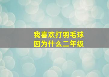 我喜欢打羽毛球因为什么二年级