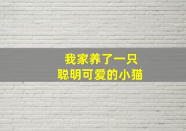 我家养了一只聪明可爱的小猫