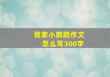 我家小鹦鹉作文怎么写300字