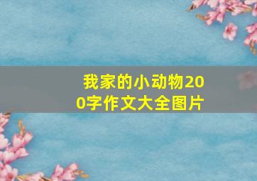 我家的小动物200字作文大全图片