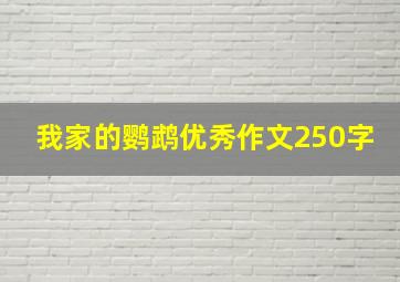 我家的鹦鹉优秀作文250字